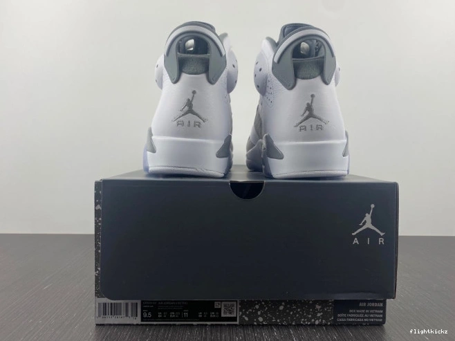 Grey Cool Jordan Air 6 CT8529-100 1213